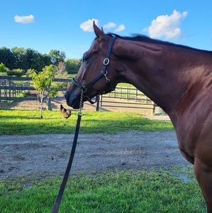 Meet your Posher, Deanna